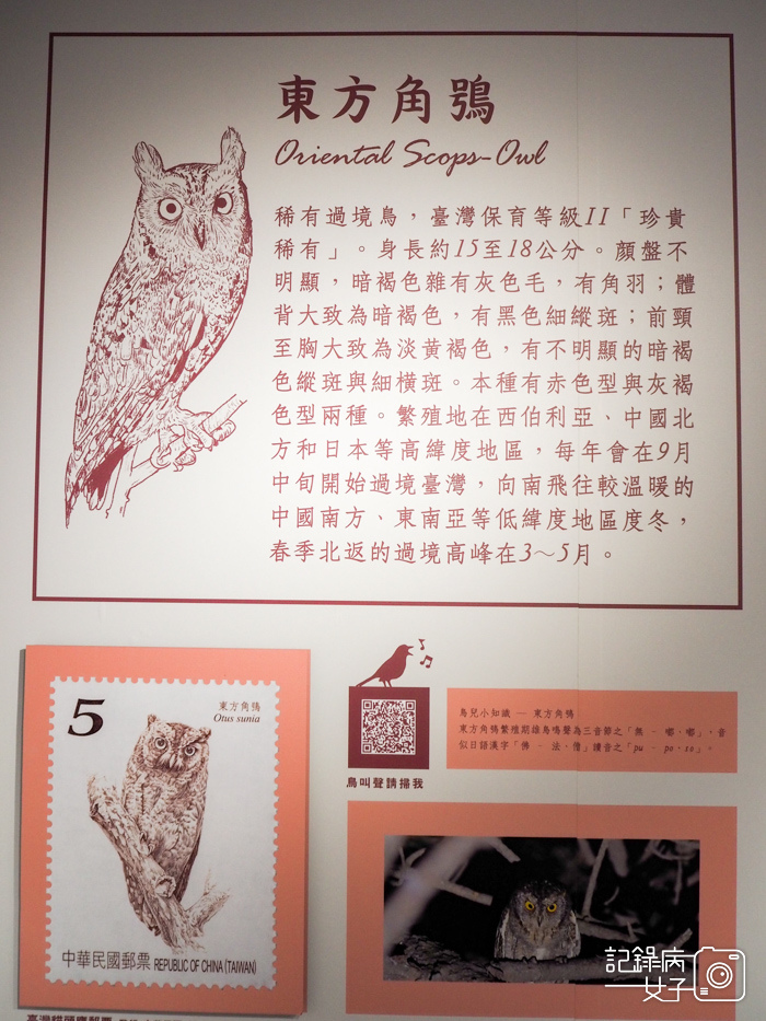 郵政博物館 翩翩飛羽映像 超美鳥類郵票特展32.jpg