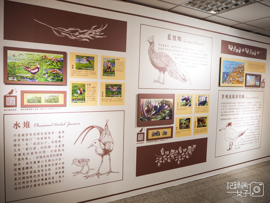 郵政博物館 翩翩飛羽映像 超美鳥類郵票特展34.jpg