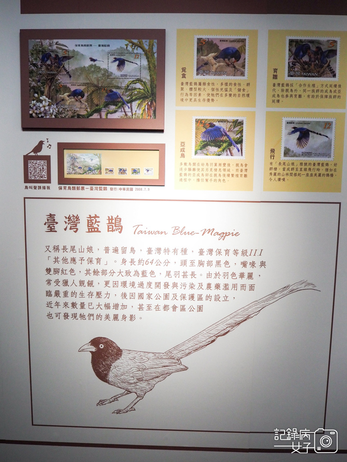 郵政博物館 翩翩飛羽映像 超美鳥類郵票特展36.jpg