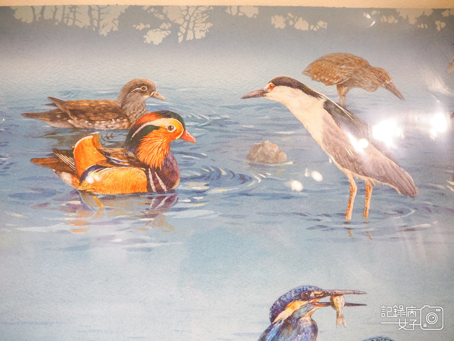 郵政博物館 翩翩飛羽映像 超美鳥類郵票特展50.jpg