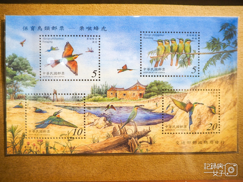 郵政博物館 翩翩飛羽映像 超美鳥類郵票特展53.jpg