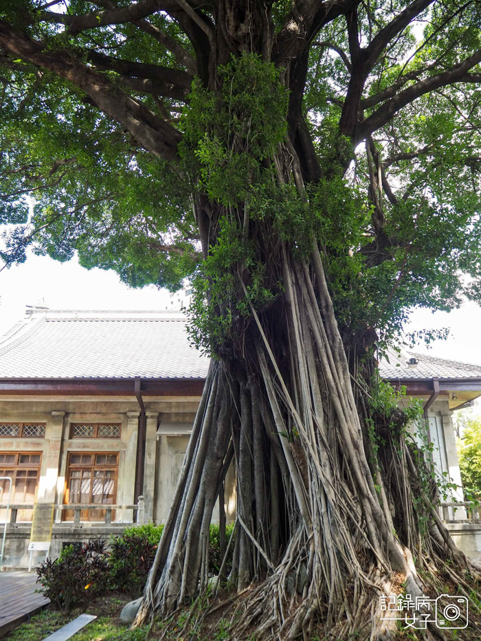 歷史建築日式古蹟x臺中刑務所演武場 道禾六藝文化館20.jpg