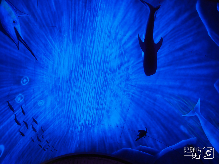 宜蘭蘇澳台東舊鐵道蘇東隧道x雙效夜光海洋世界塗鴉22.jpg