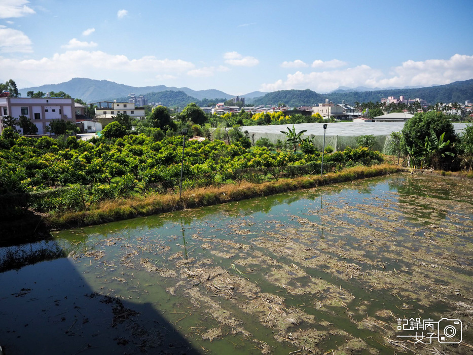 南投埔里小島好樂民宿 x 埔里田園風光悠閒舒適民宿14.jpg