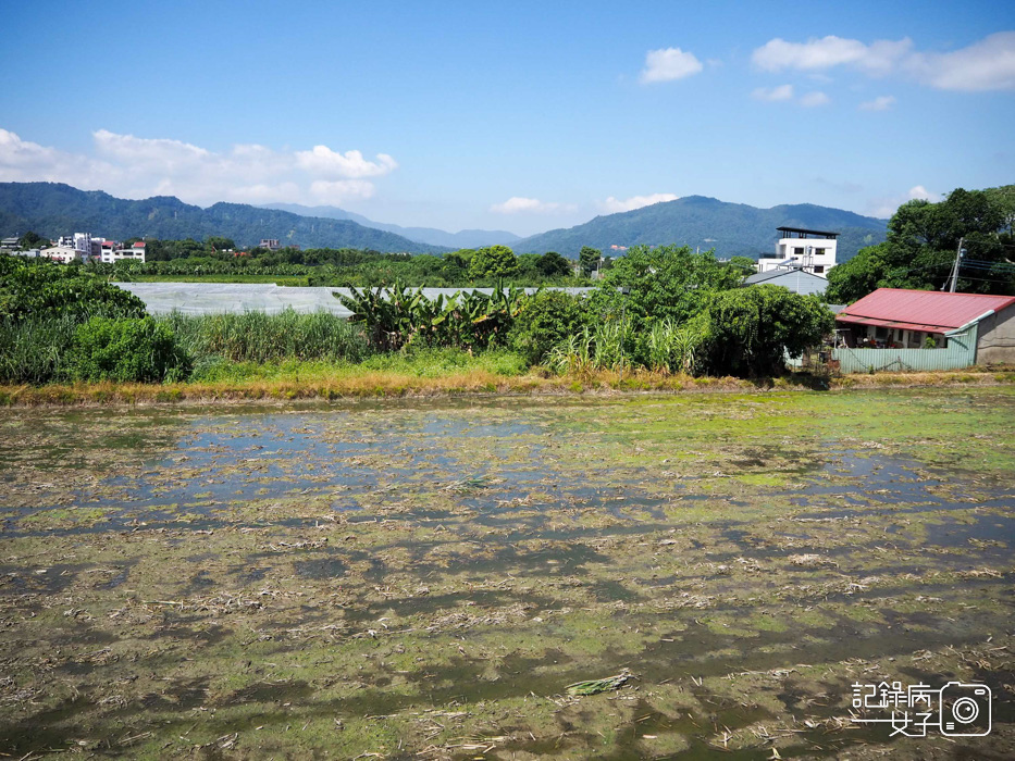 南投埔里小島好樂民宿 x 埔里田園風光悠閒舒適民宿15.jpg