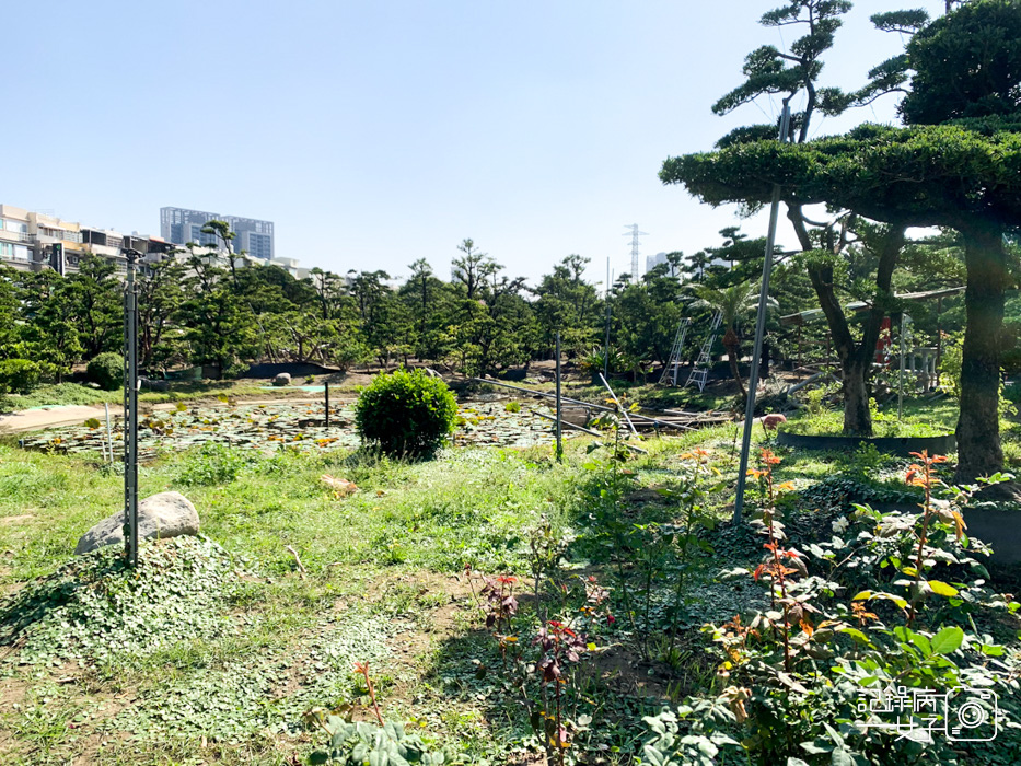 楠梓MC多肉園 療癒多肉仙人掌 園藝園區8.jpg