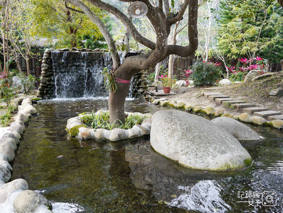 苗栗大湖福菜園客家菜餐廳 冷泉油雞 金沙芋頭糕4.jpg