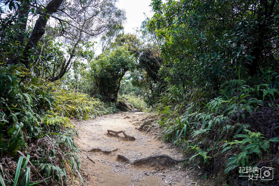 內湖網美金面山 大岩壁 剪刀石 網美景點35.jpg