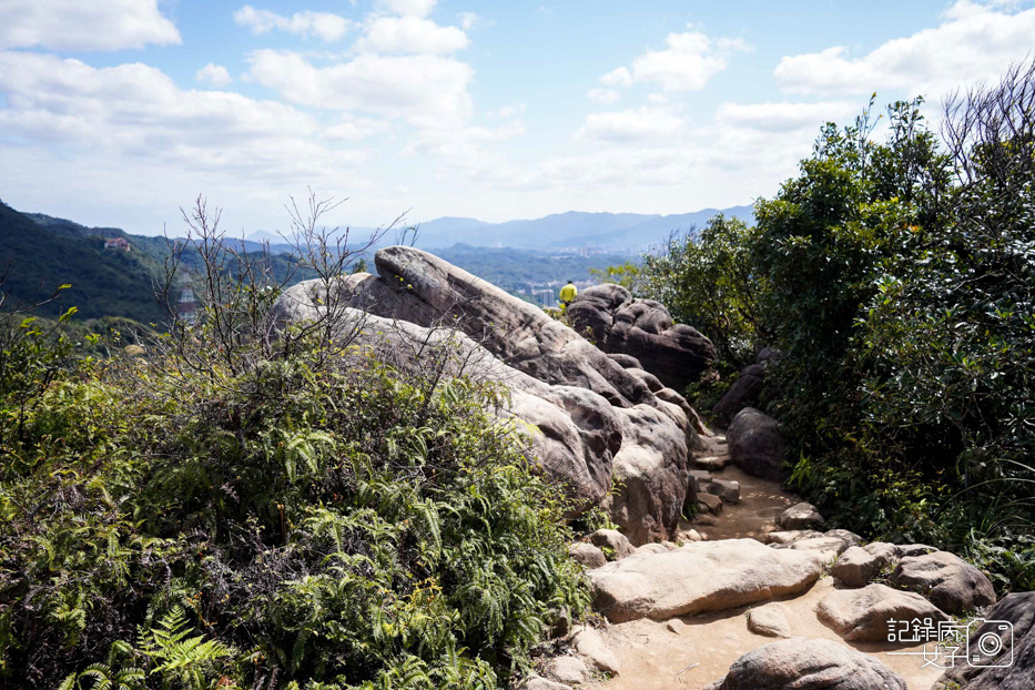 內湖網美金面山 大岩壁 剪刀石 網美景點38.jpg