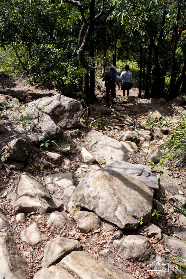 內湖網美金面山 大岩壁 剪刀石 網美景點54.jpg