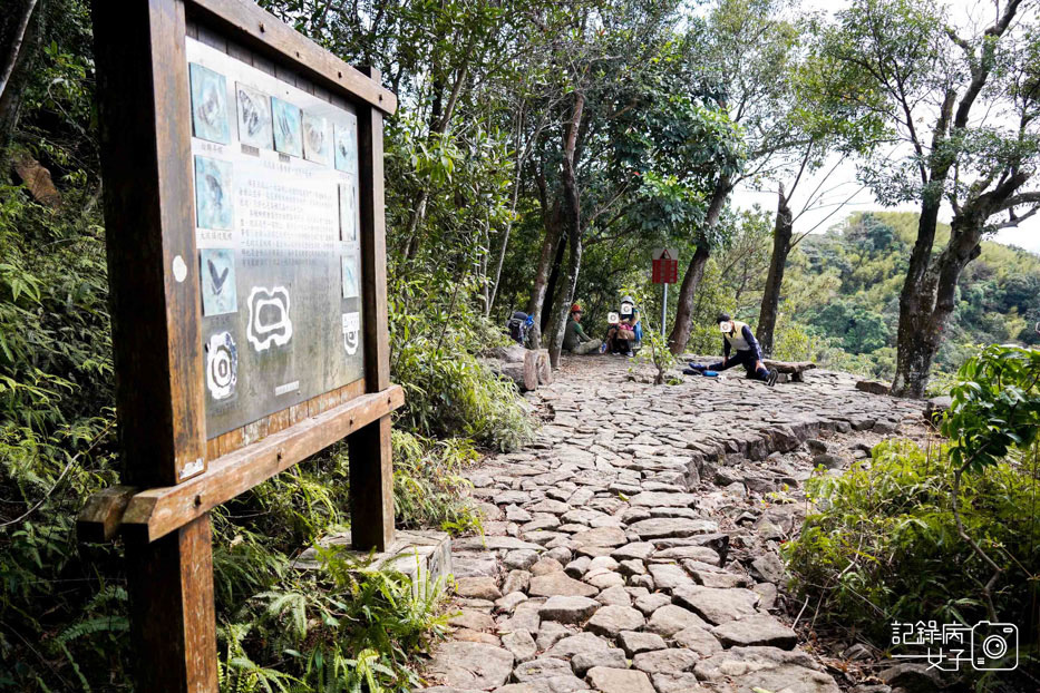 內湖網美金面山 大岩壁 剪刀石 網美景點68.jpg