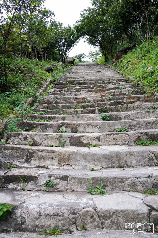 新北瑞豐黃金博物館金瓜石神社遺址九份景點4.jpg