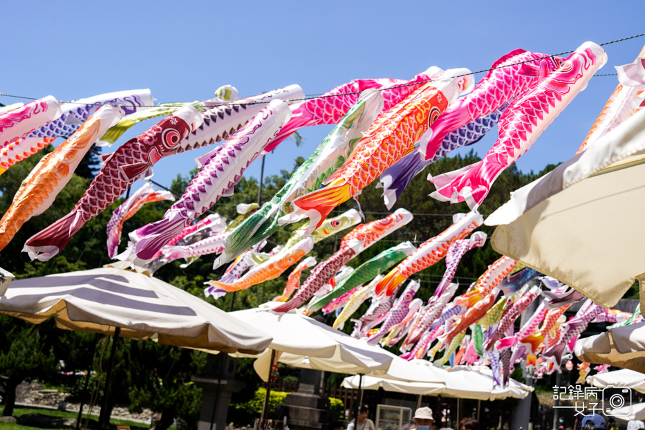 6桃園忠烈祠暨神社文化園區桃園神社鯉魚旗.jpg