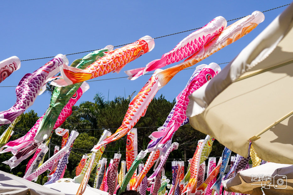 7桃園忠烈祠暨神社文化園區桃園神社鯉魚旗.jpg