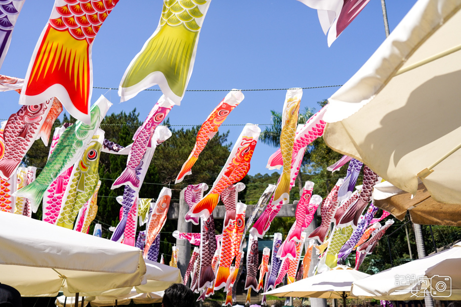 8桃園忠烈祠暨神社文化園區桃園神社鯉魚旗.jpg