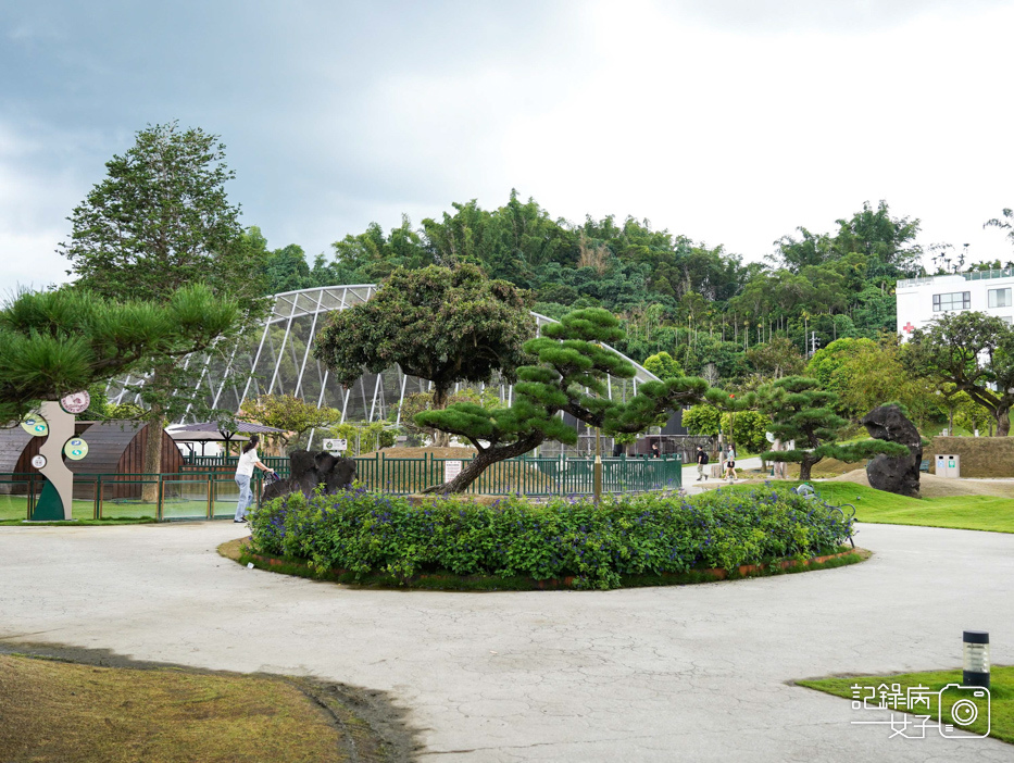 12南投九九峰動物樂園jojozoo九九峰鳥園九九峰鸚鵡可愛動物水豚草泥馬.jpg