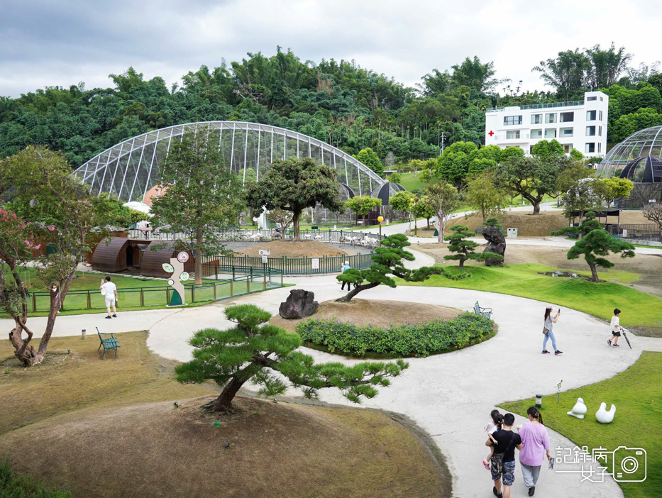 14南投九九峰動物樂園jojozoo九九峰鳥園九九峰鸚鵡可愛動物水豚草泥馬.jpg