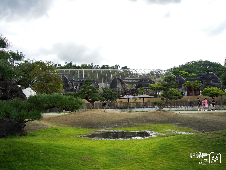 13南投九九峰動物樂園jojozoo九九峰鳥園九九峰鸚鵡可愛動物水豚草泥馬.jpg