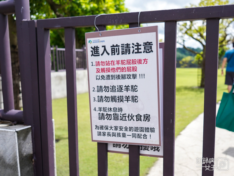 37南投九九峰動物樂園jojozoo九九峰鳥園九九峰鸚鵡可愛動物水豚草泥馬.jpg