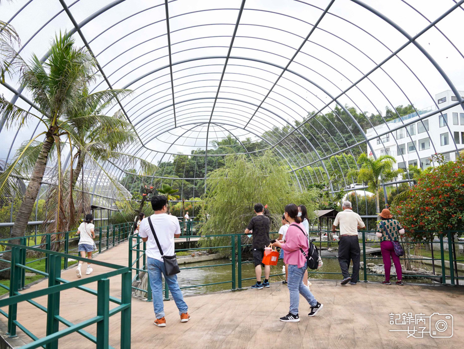 43南投九九峰動物樂園jojozoo九九峰鳥園九九峰鸚鵡可愛動物水豚草泥馬.jpg