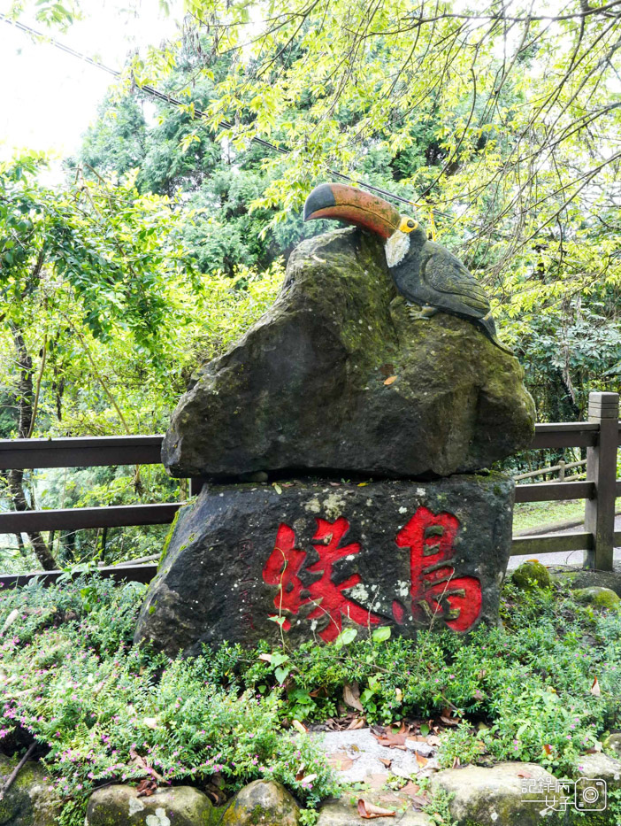 6南投鹿谷鄉鳳凰谷鳥園生態園區鳳凰谷鳥園鳳凰谷動物園.jpg