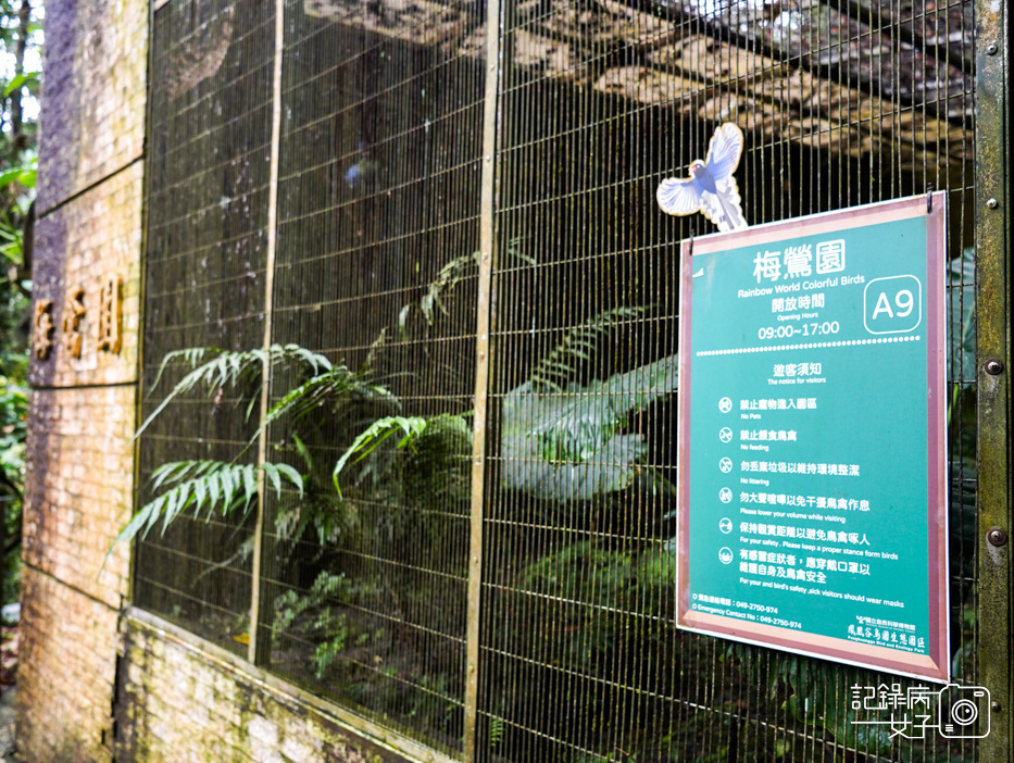 15南投鹿谷鄉鳳凰谷鳥園生態園區鳳凰谷鳥園鳳凰谷動物園.jpg