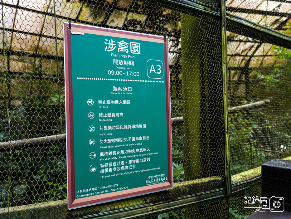 14南投鹿谷鄉鳳凰谷鳥園生態園區鳳凰谷鳥園鳳凰谷動物園.jpg