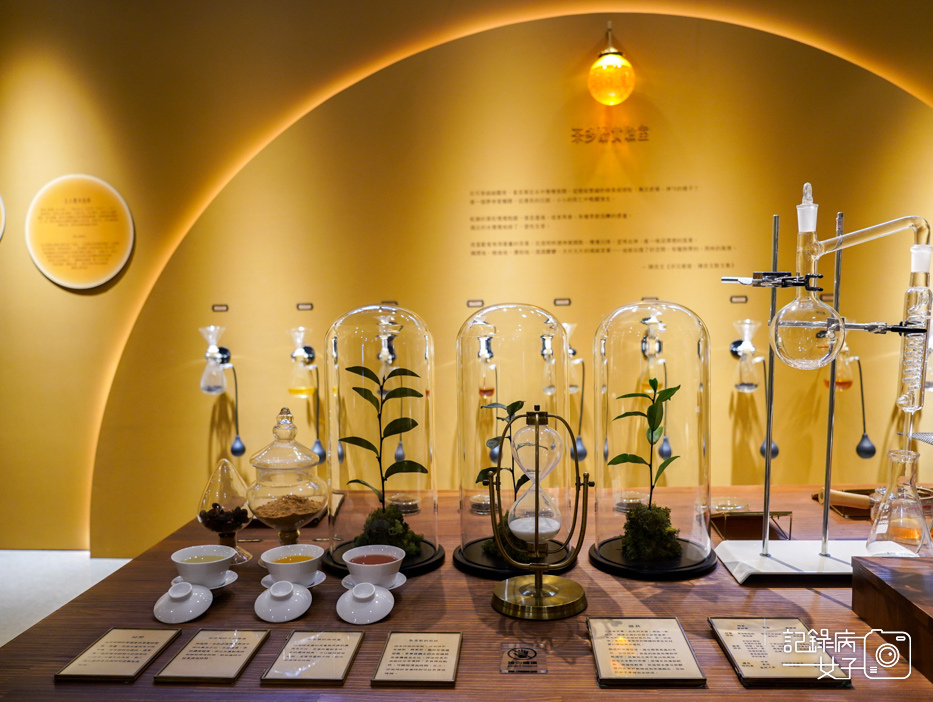 62坪林茶業博物館優美山水博物館茶葉展覽泡的千年與未來展.jpg