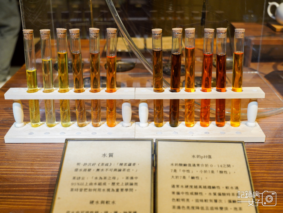 65坪林茶業博物館優美山水博物館茶葉展覽泡的千年與未來展.jpg