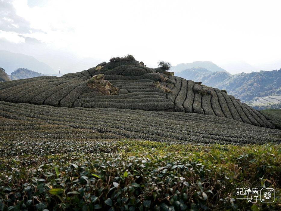 18嘉義阿里山隙頂二延平步道隙頂觀雲平台隙頂雲海.jpg