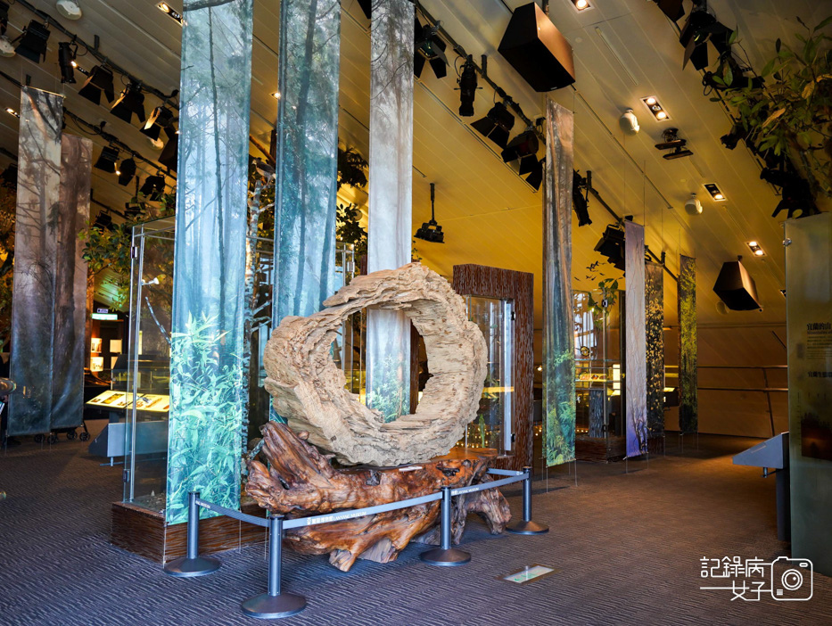 16宜蘭蘭陽博物館常設展特展繪自然博物館裡的台灣.jpg