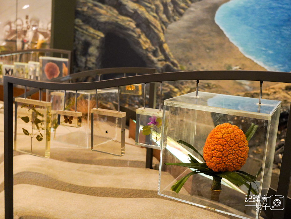 25宜蘭蘭陽博物館常設展特展繪自然博物館裡的台灣.jpg