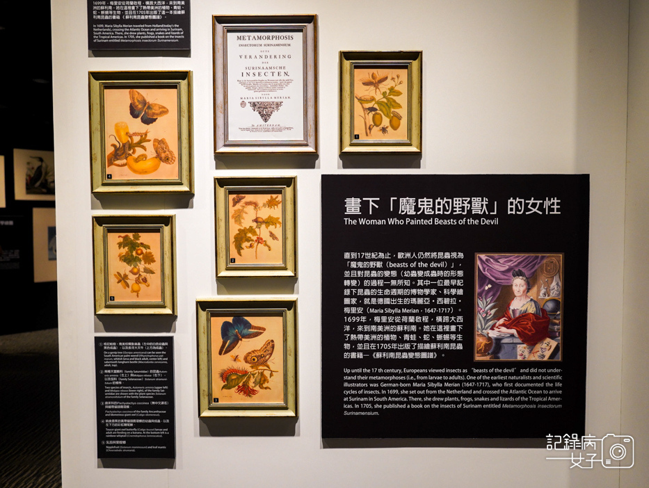 38宜蘭蘭陽博物館常設展特展繪自然博物館裡的台灣.jpg