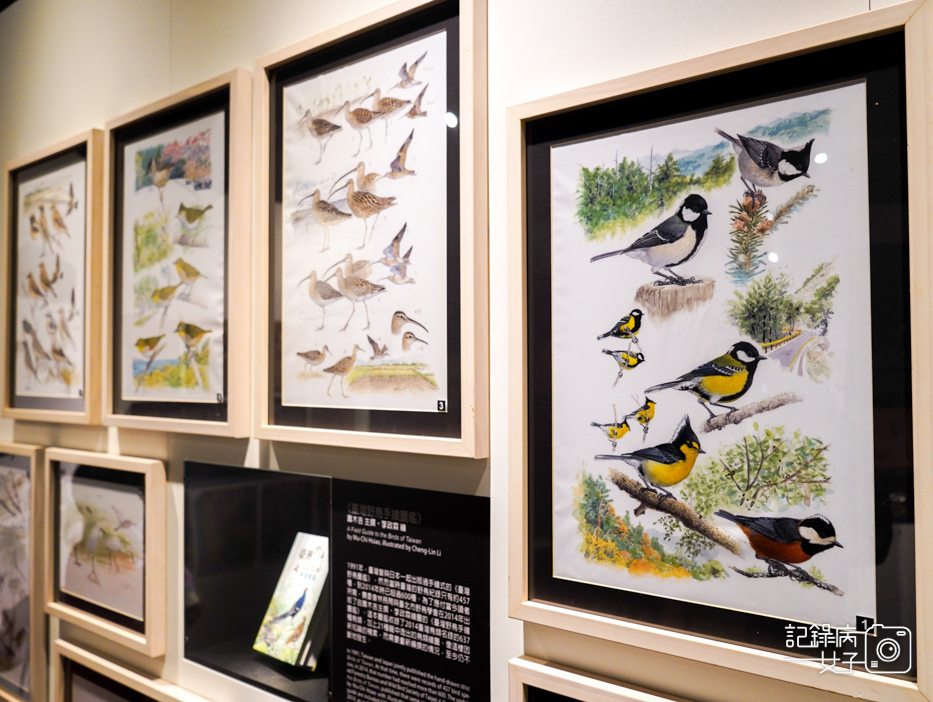 59宜蘭蘭陽博物館常設展特展繪自然博物館裡的台灣.jpg