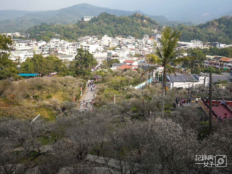 9嘉義梅山公園梅花公園現代文學步道.jpg