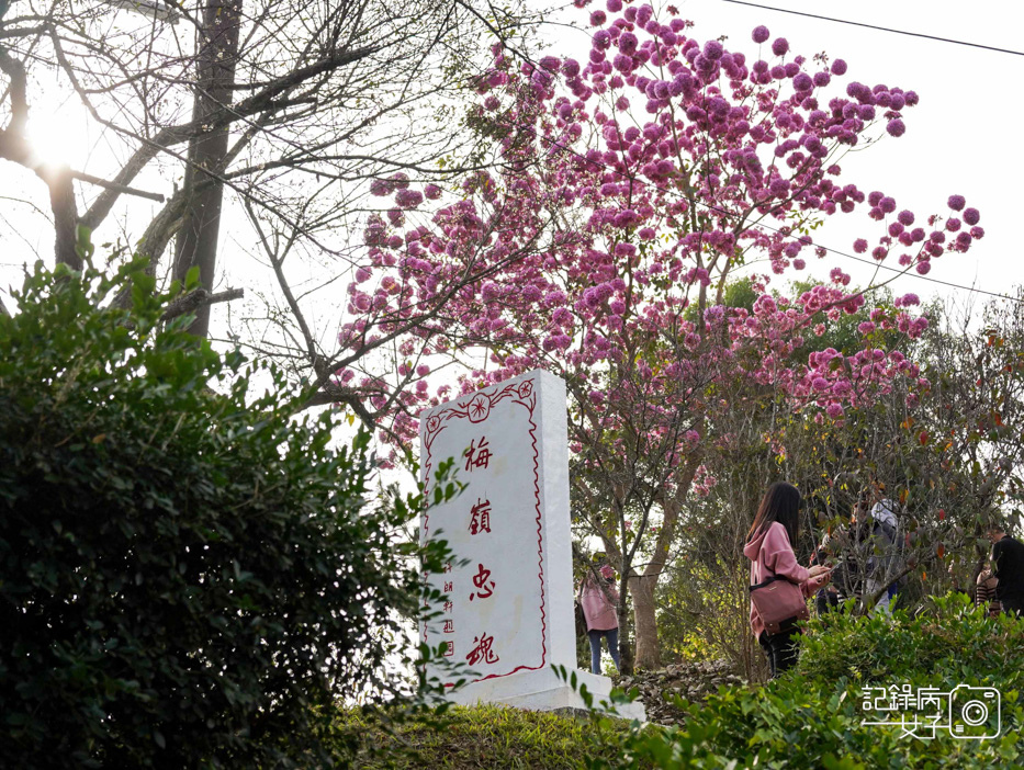 22嘉義梅山公園梅花公園現代文學步道.jpg