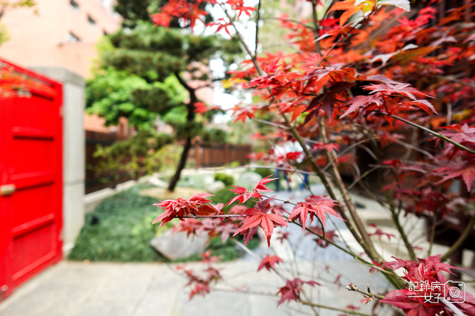 48台北0km山物所網美景點植物日式建築山林勤美.jpg