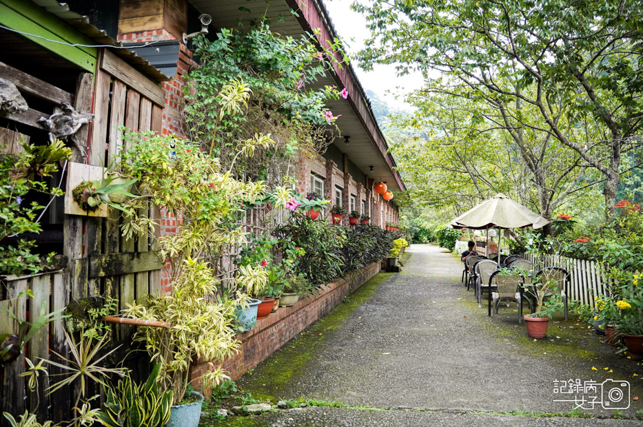 3苗栗獅潭仙山秘境星仙草芋圓仙草雪花冰桂花冰火湯圓.jpg
