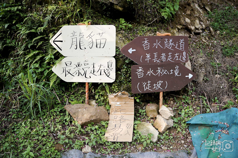 9台北新北三峽大熊櫻花林熊空吉野櫻白櫻花八重櫻.jpg