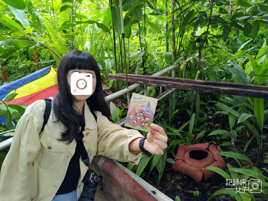 9馬來西亞波令溫泉Poring Hot Spring阿諾爾特大花草Rafflesia arnoldiiR. Br.jpg