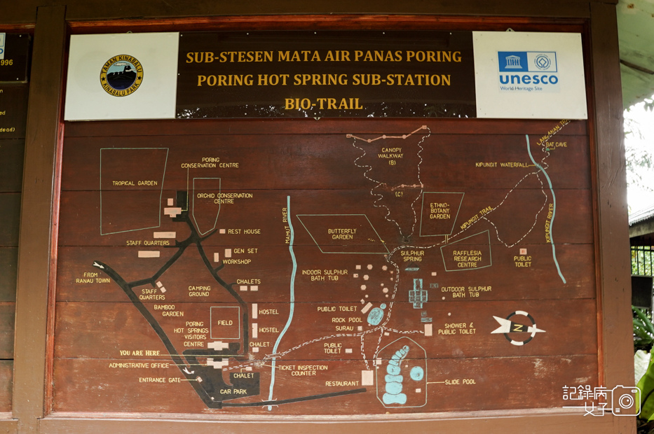 16馬來西亞波令溫泉泡腳阿諾爾特大王花瀑布Poring Hot Spring.jpg