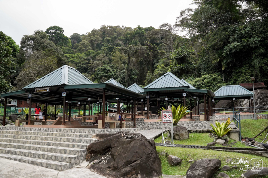 23馬來西亞波令溫泉泡腳阿諾爾特大王花瀑布Poring Hot Spring.jpg