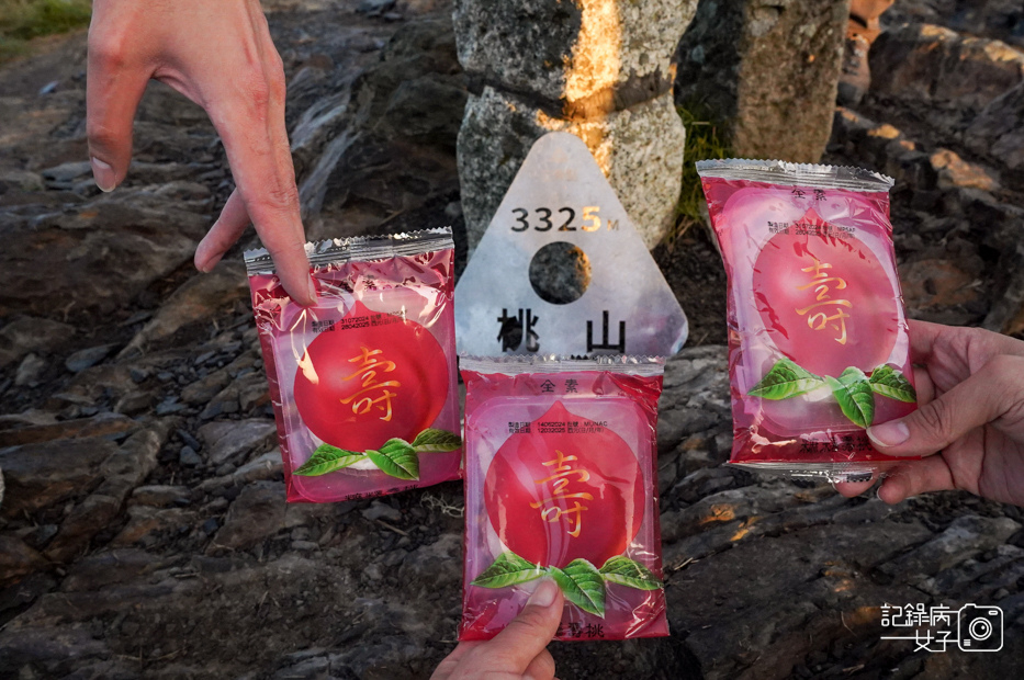 77台灣百岳武陵兩日四秀桃山喀拉業山單攻.jpg