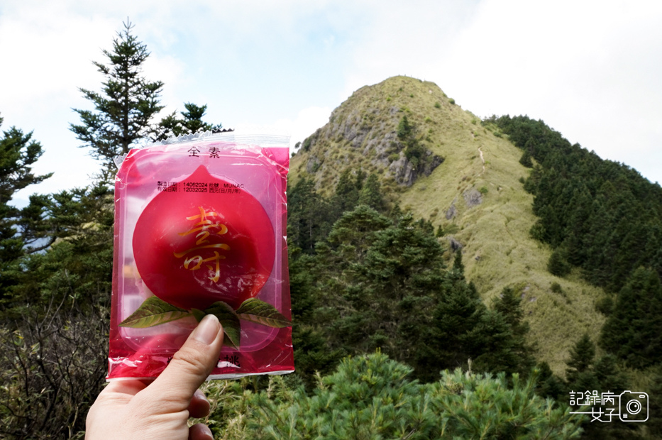 81台灣百岳武陵兩日四秀桃山喀拉業山單攻.jpg