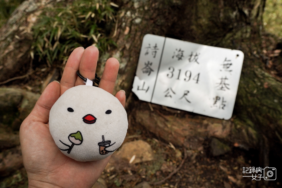 85台灣百岳武陵兩日四秀詩崙山.jpg