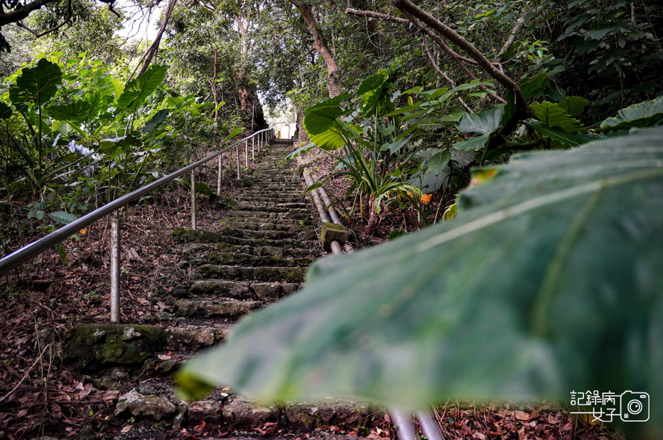 13高雄阿蓮岡山小百岳大崗山風景區龍盤峽谷一線天超峰寺.jpg