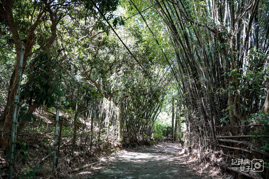 15高雄阿蓮岡山小百岳大崗山風景區龍盤峽谷一線天超峰寺.jpg