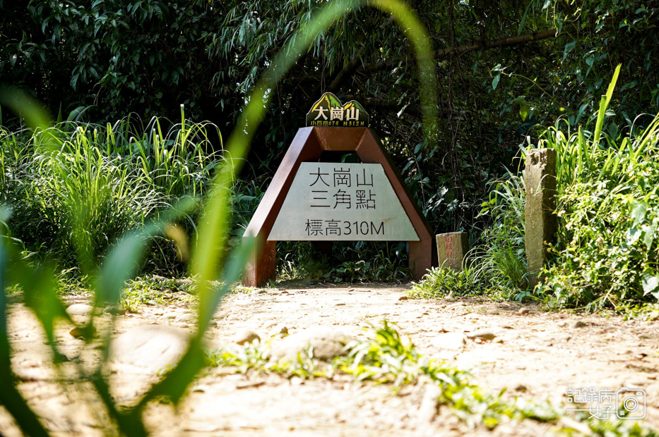 27高雄阿蓮岡山小百岳大崗山風景區龍盤峽谷一線天超峰寺.jpg