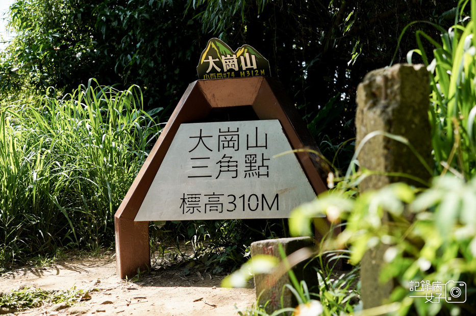 52高雄阿蓮岡山小百岳大崗山風景區龍盤峽谷一線天超峰寺.jpg