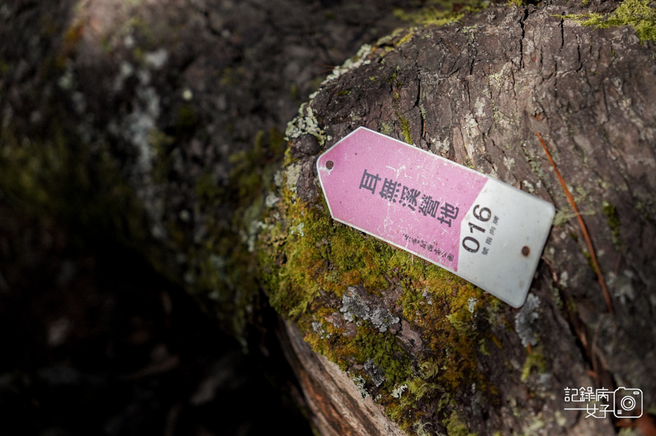 18台灣百岳北二段無名甘薯耳無溪營地遠多志山.jpg
